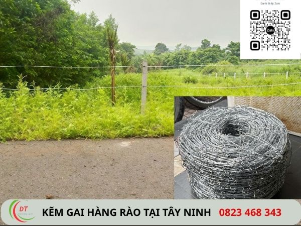 kẽm gai hàng rào tại tây ninh